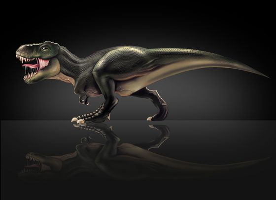 Tyrannosaurus Rex