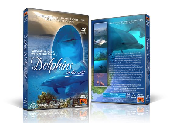 Dolphins in the Wild