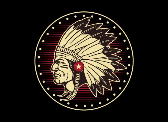 Pow Wow Indian